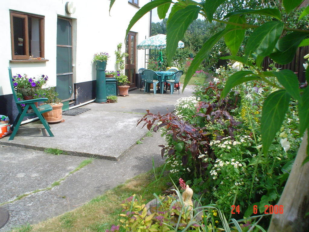 The Elms Bed & Breakfast East Harling Exterior foto